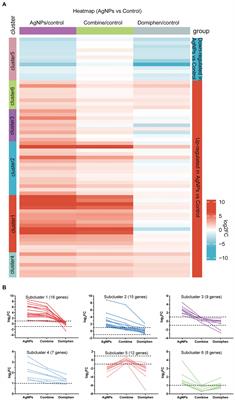 Transcriptomics-based investigation of molecular mechanisms underlying synergistic antimicrobial effects of AgNPs and Domiphen on the human fungal pathogen Aspergillus fumigatus